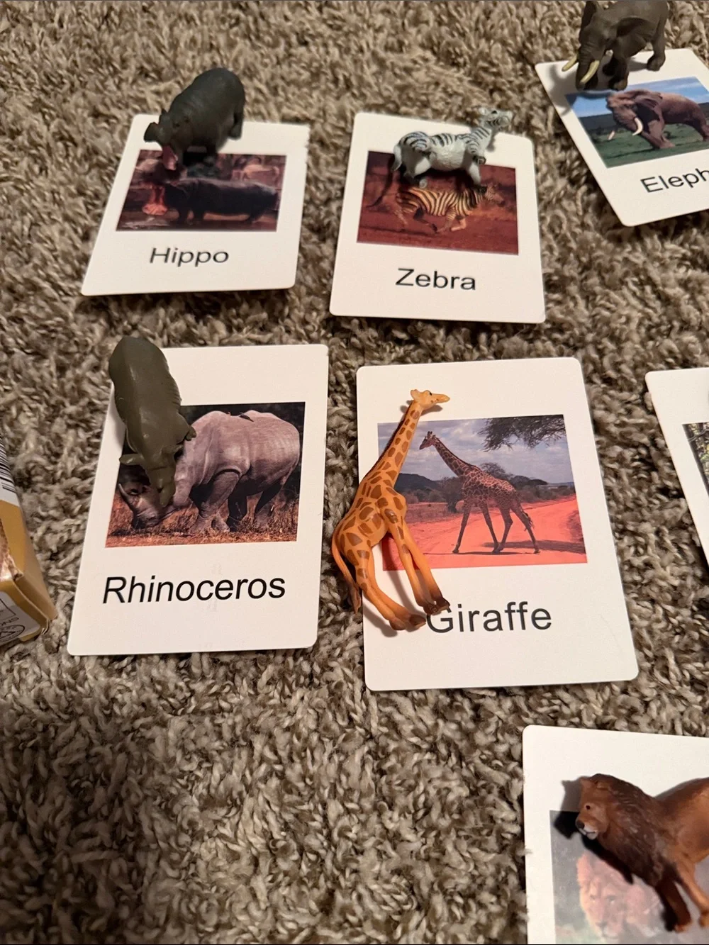 Animal Flash Card Set with Mini Figures - Multi-Color